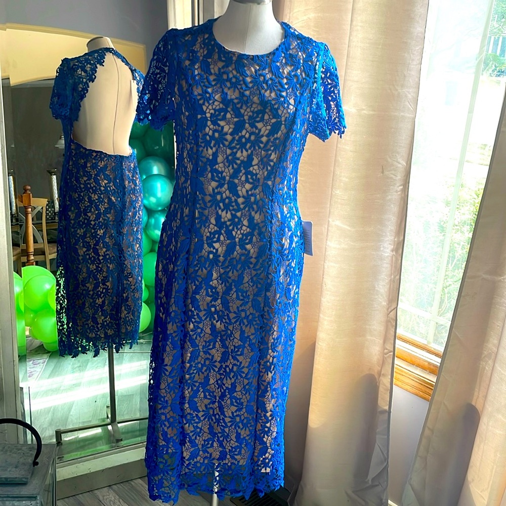 Blue and Nude Napean Sea Rd Dress